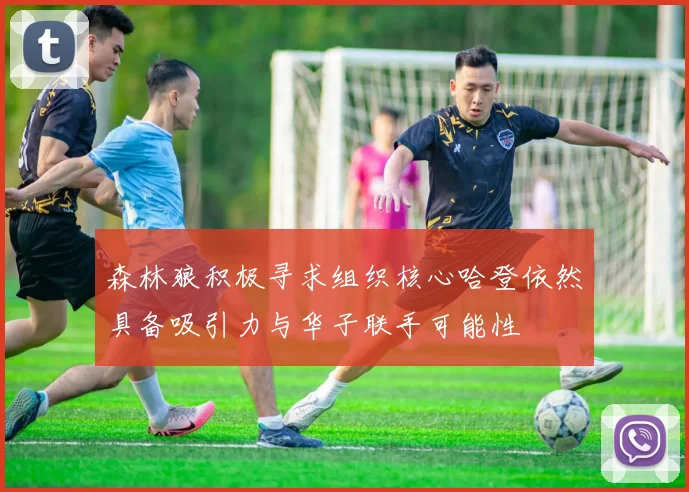 森林狼积极寻求组织核心哈登依然具备吸引力与华子联手可能性