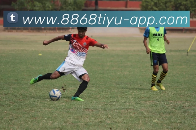 App Interface Preview