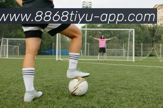 8868体育APP 封面图